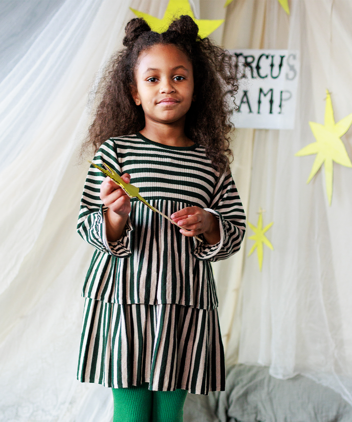 Stevie Dress - Ivy Stripe