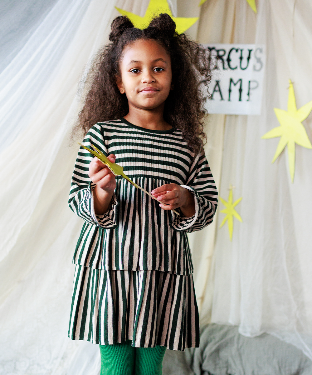 Stevie Dress - Ivy Stripe