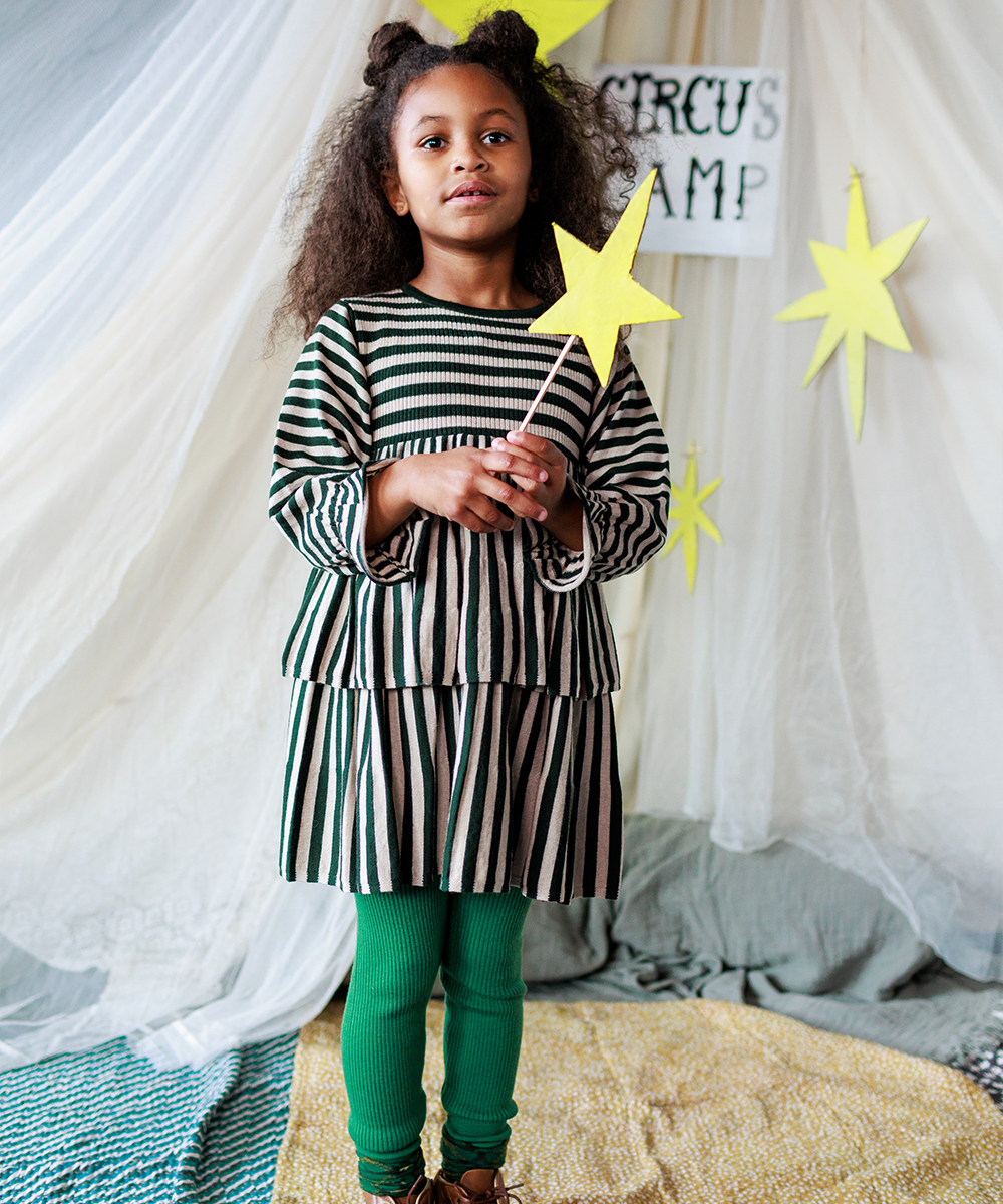 Stevie Dress - Ivy Stripe