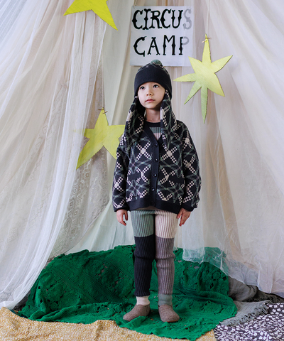 Sêr Cardigan - Alpine Wolf
