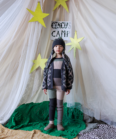 Sêr Cardigan - Alpine Wolf