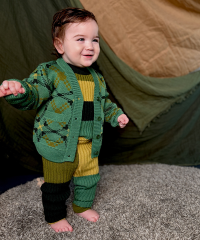 Sêr Cardigan - Forest Festival