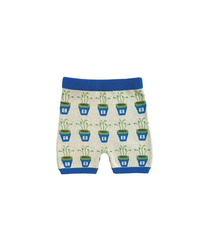 Cress Shorts - Multi