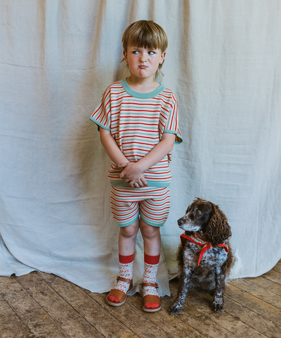 Deck Shorts - Aspen Stripe
