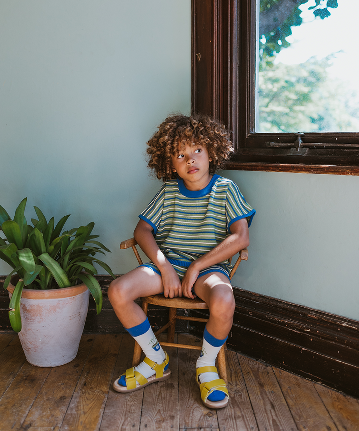 Deck Shorts - Clover Stripe