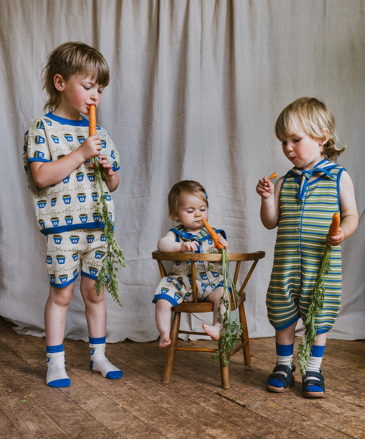 Cress Shorts - Multi