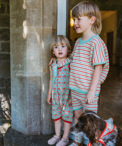 Deck Shorts - Aspen Stripe