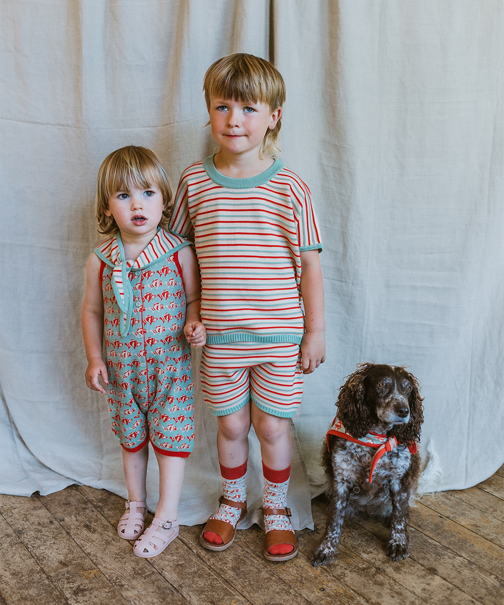 Deck Shorts - Aspen Stripe