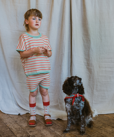 Deck Shorts - Aspen Stripe