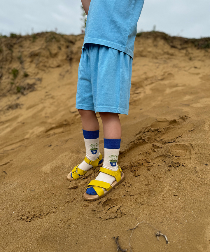 Glan-Y-Mor Shorts - Cerulean Blue