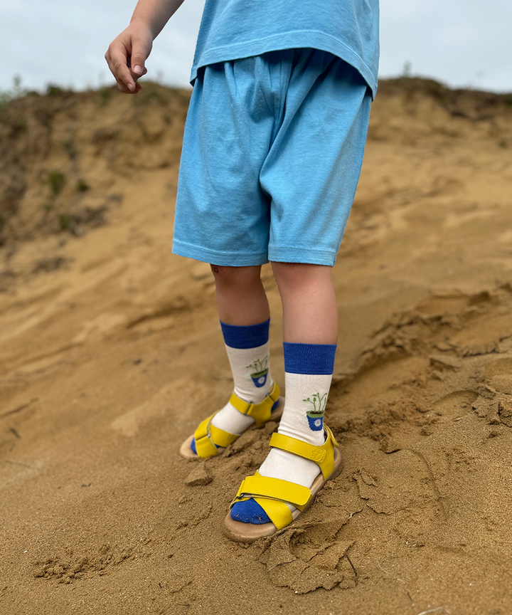 Glan-Y-Mor Shorts - Cerulean Blue
