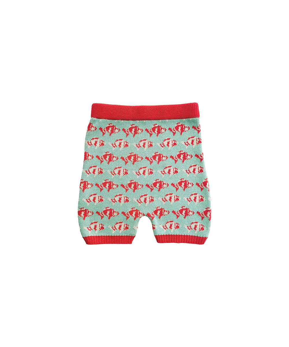 Koi Shorts - Aspen