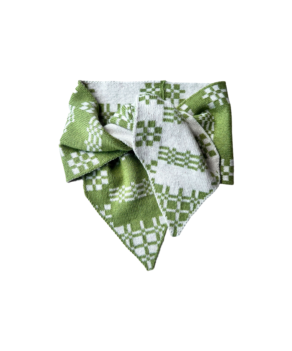 Brithlen Tie - Fern