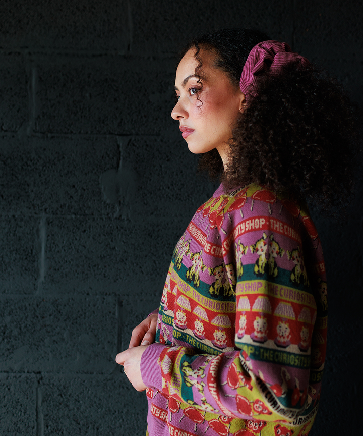 Curiosities Pullover - Damson Multi (Adult)