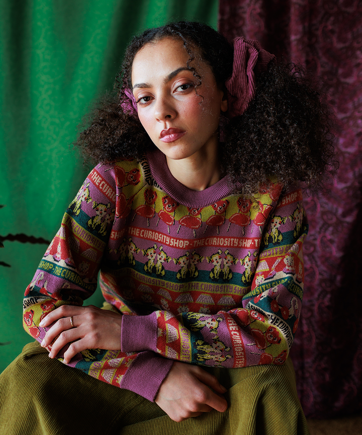 Curiosities Pullover - Damson Multi (Adult)