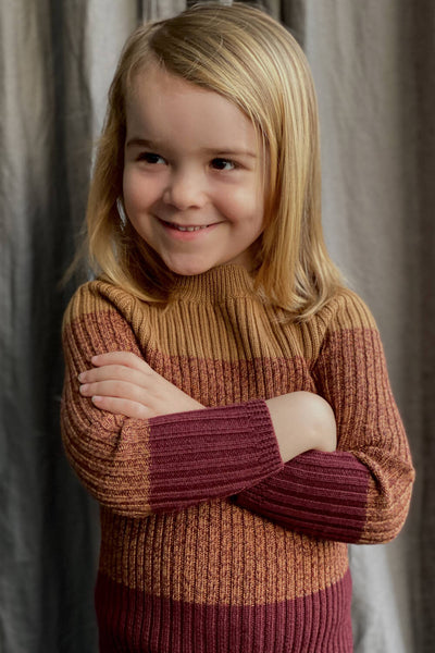 Carwyn Pullover - Berry / Amber / Peanut