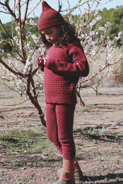 Takenoko Skinny Legs - Berry / Amber