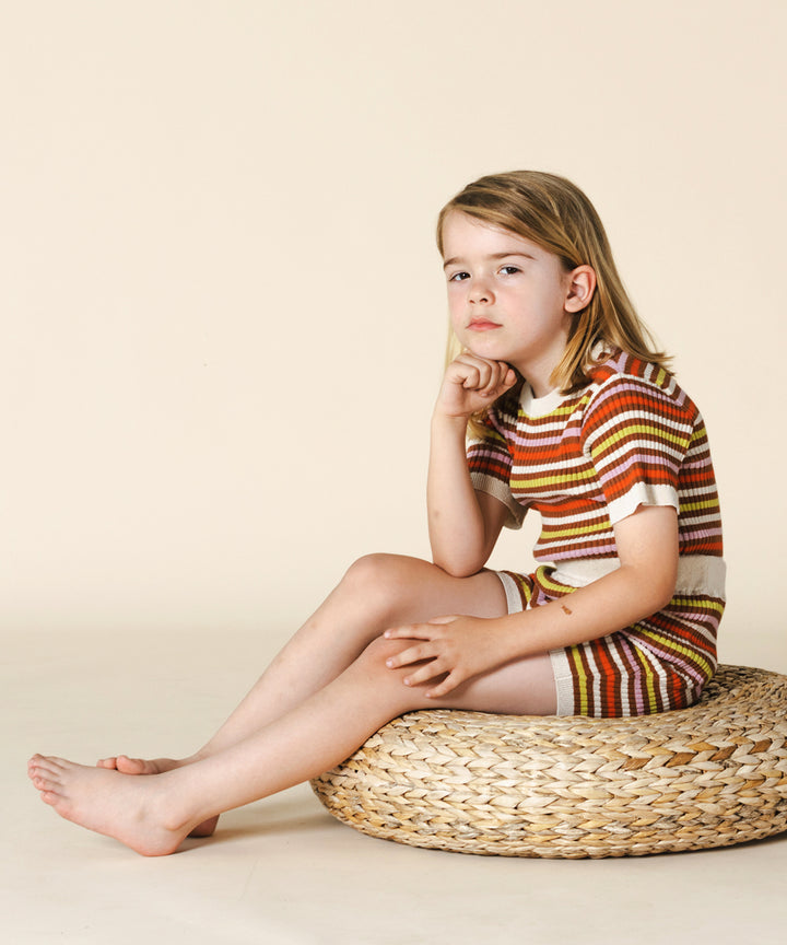 Aeron Tee Maple Stripe