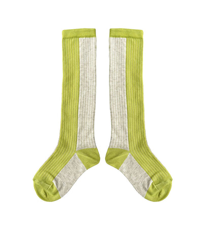 Circus Knee High Socks Apple - Child