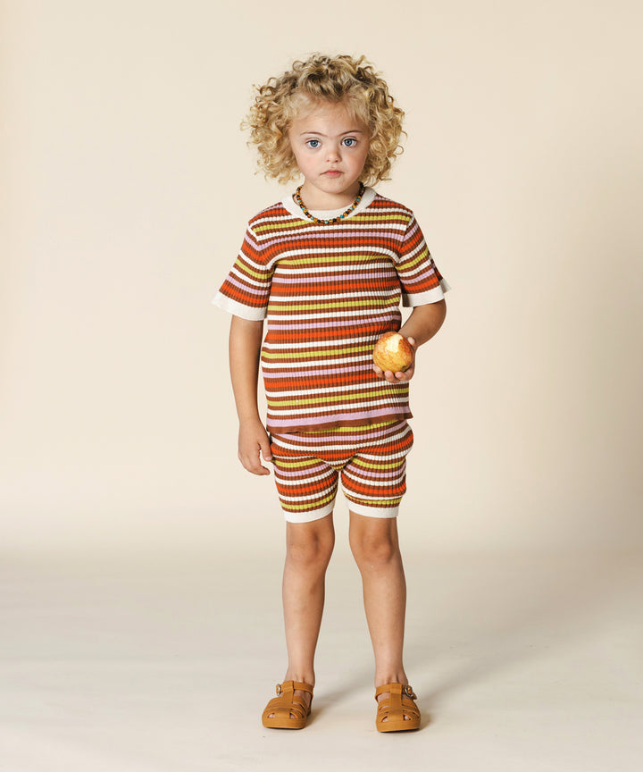 Aeron Shorts Maple Stripe