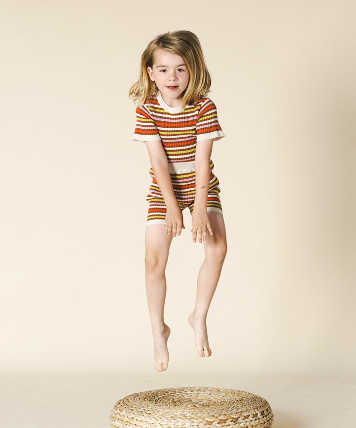 Aeron Tee Maple Stripe